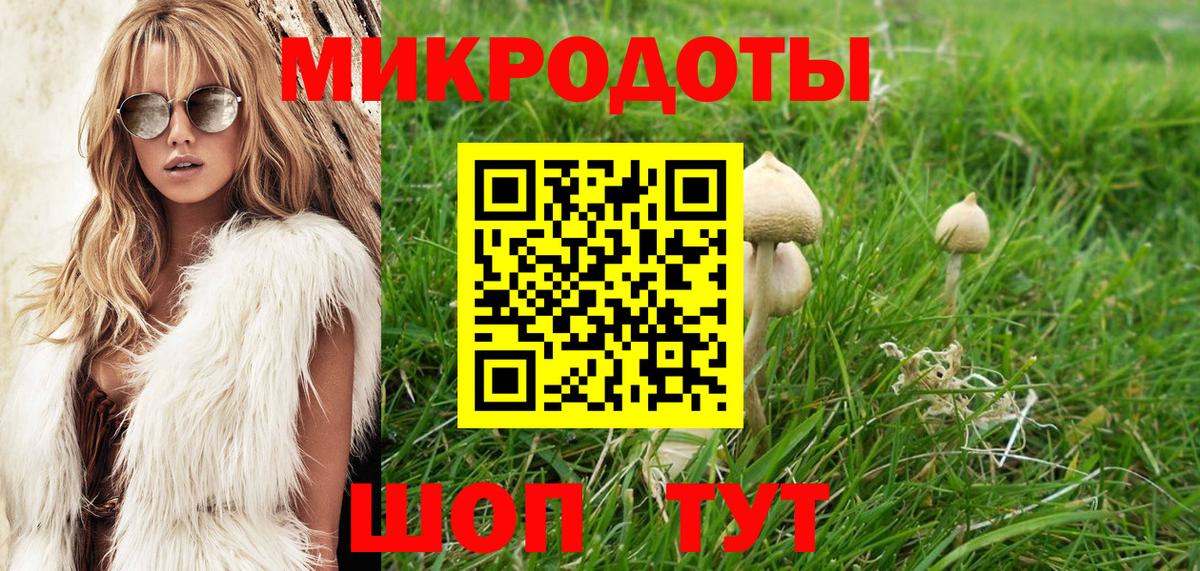 Псилоцибиновые грибы мицелий Полевской